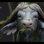 1704-water-buffalo-roman-lappat