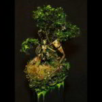 1724-regrowth-kristian-simonsen